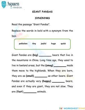 Synonyms - Giant Pandas