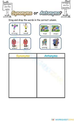 Synonyms or Antonyms Sorting Activity