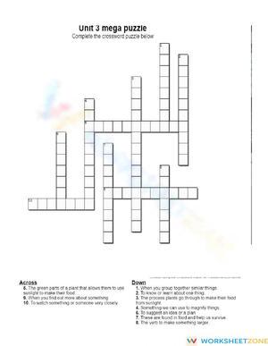 Unit 3 all the words