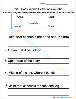 Body Parts Vocabulary Worksheet | Grade 3-6 Printable