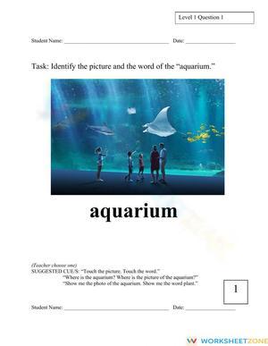 Essential Kindergarten Vocabulary & Reading Assessment
