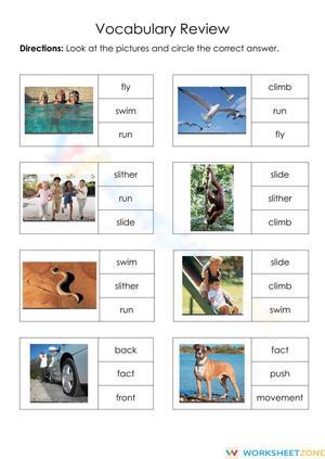 Creature Feature: Vocabulary Review