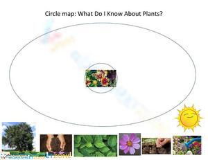 Grade K Plants — Printable No-Prep Circle Map