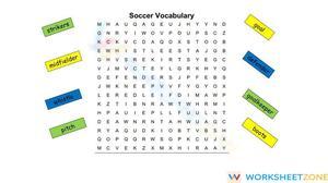 Soccer Vocabulary