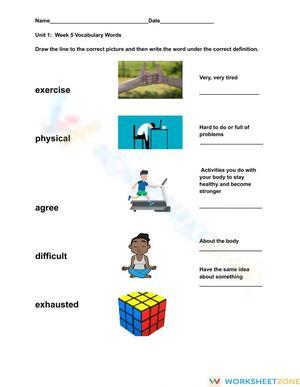 Grade 2 Vocabulary — Printable No-Prep Worksheet