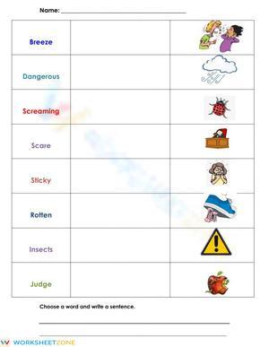 Grade 2 Vocabulary — Printable No-Prep Worksheet