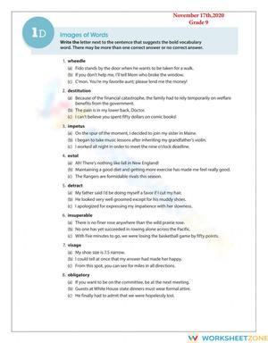 Essential Grade 9 Vocabulary: Images of Words Worksheet