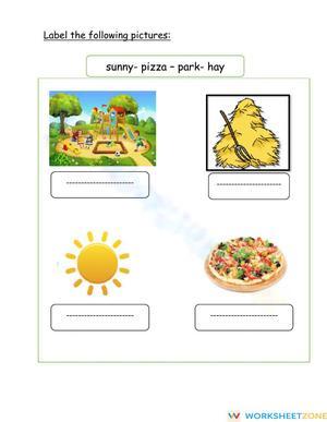 Label the Pictures: Vocabulary Building