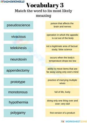 Vocabulary Using Word Roots 3B