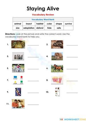 Vocabulary Review: Staying Alive Vocabs