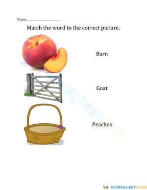 Who Ate The Peaches Match 1