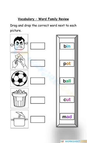 Word Family Review Activity