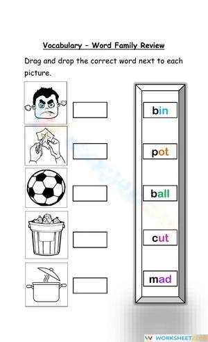 Word Family Review 