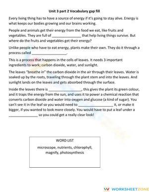Unit 3 vocabulary gap fill