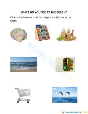 What Do You See at the Beach?