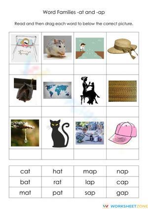 Grade K-1 Word Families -at and -ap — Printable Worksheet