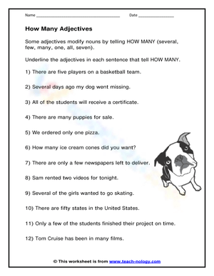 Essential Adjectives How Many Worksheet | Grade 3 English
