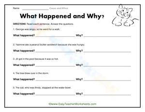 Cause and Effect: What Happened and Why?