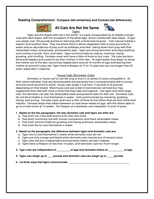 All Cats Are Not the Same Worksheet | Essential Grade 3 ELA