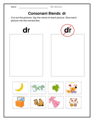 Essential dr Consonant Blends Worksheet | Grades 1-3
