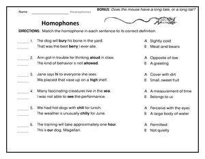 Printable Homophones Practice Worksheet | Grade 2 ELA