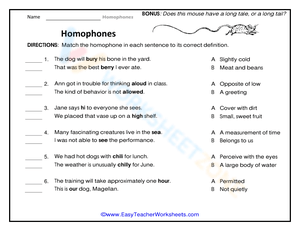 Printable Homophones Practice Worksheet | Grade 2 ELA