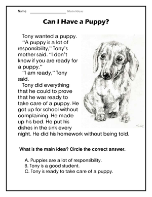 Reading Comprehension: Can I Have a Puppy?