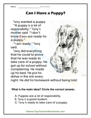 Reading Comprehension: Can I Have a Puppy?