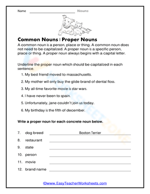 Distinguishing Common and Proper Nouns