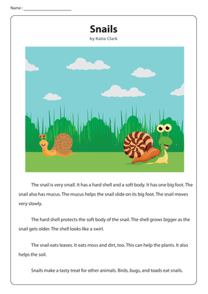 Non-Fiction Reading About Snails