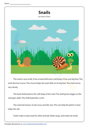 Non-Fiction Reading About Snails