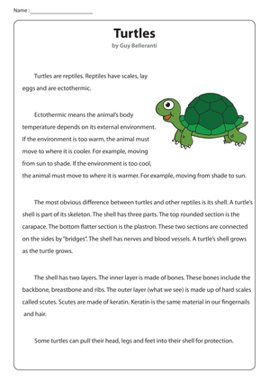 Non-Fiction Reading About Turtles