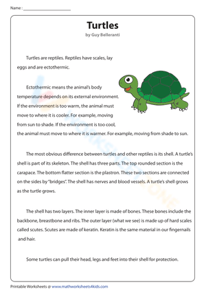 Non-Fiction Reading About Turtles