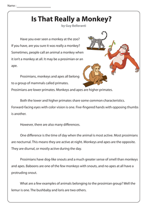 Non-Fiction Reading: Is That Really a Monkey?