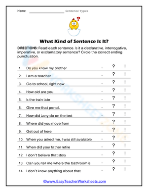 Essential Sentence Types Worksheet | Grade 3 English