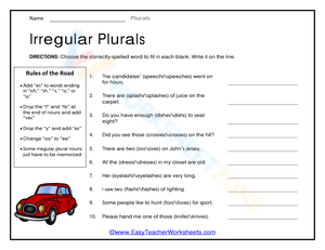 Understanding and Using Irregular Plurals