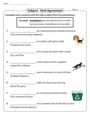 Practice Noun-Verb Agreement for Better Grammar