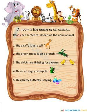 Noun Animals