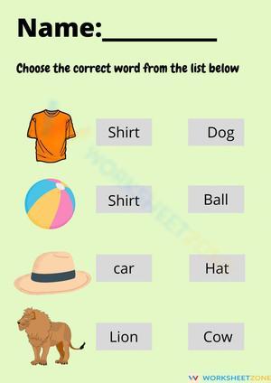 Choosing the correct words