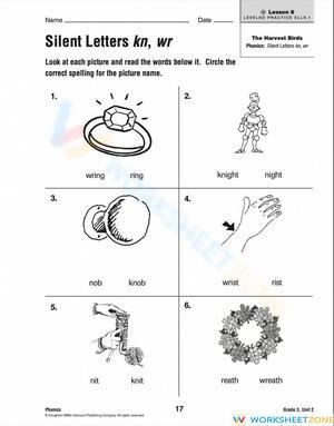 Journey's Lesson 8 Silent Letters kn, wr
