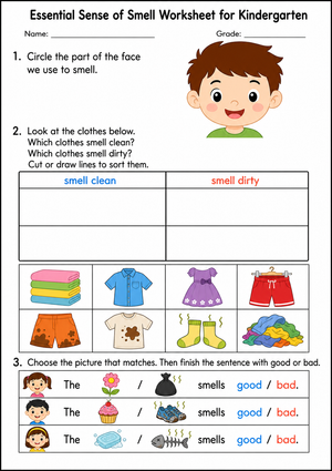Printable Sense of Smell Worksheet for Grade K