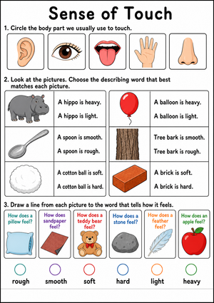Essential Sense of Touch Worksheet | Kindergarten ELA Ready
