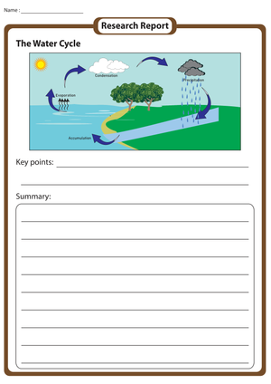 Essential Water Cycle Research Report | Grade 3-4 Writing