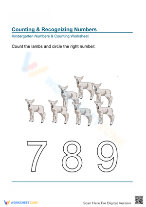 Math Activity: Count the Lambs