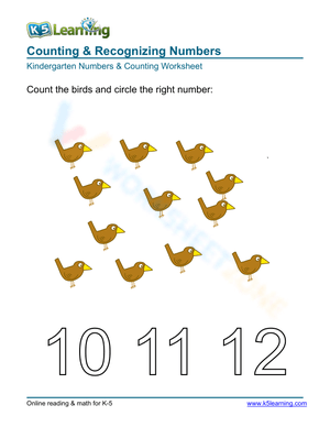 Count the Birds Practice