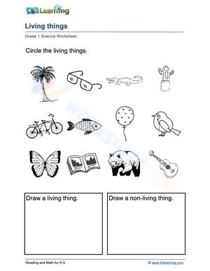 Identifying Living and Non-Living Things Worksheet