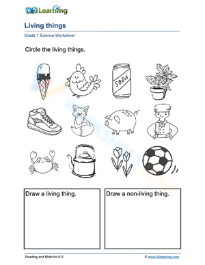 Plant, animal or thing?