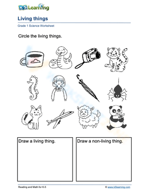 Plant, animal or thing?