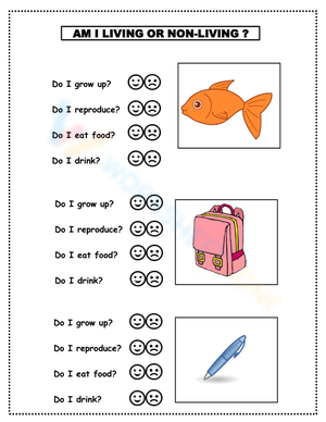 Living and Non-Living Things Classification Worksheet