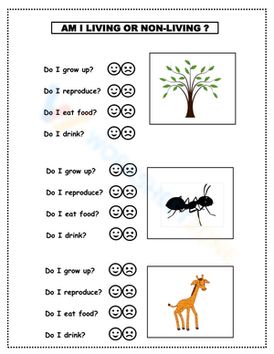 Identifying Living And Non-Living Things Activity